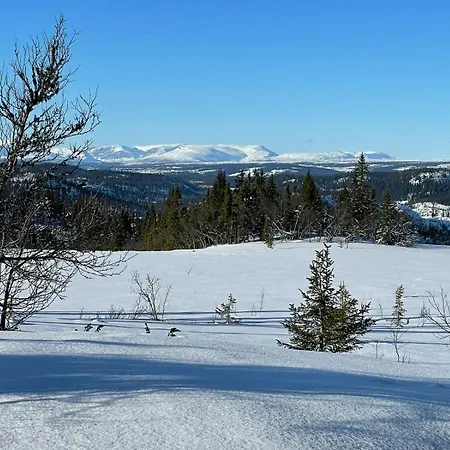 Family With Views In Valdres Vakantiehuis Reinli