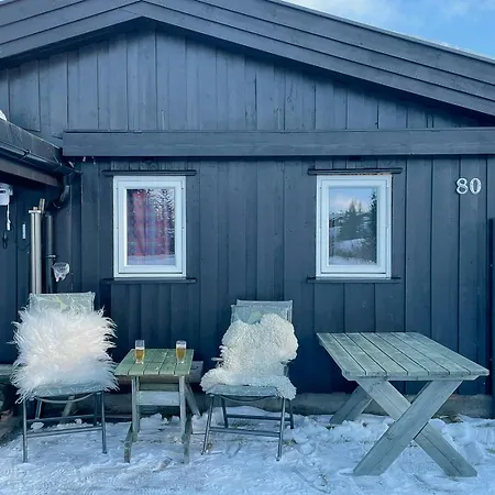 Family With Views In Valdres Reinli