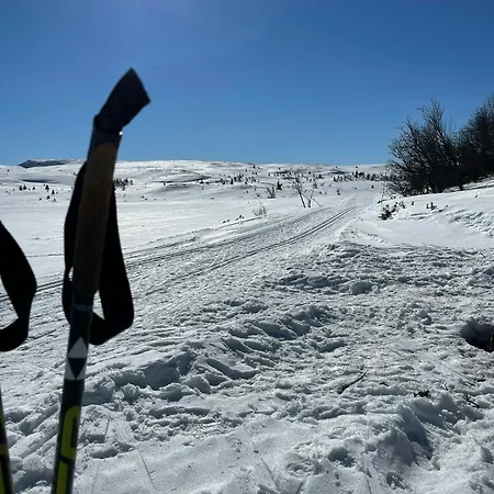 Family With Views In Valdres * Reinli