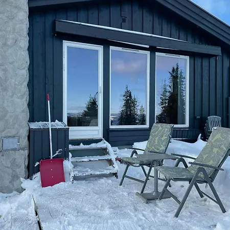 Vakantiehuis Family With Views In Valdres Reinli