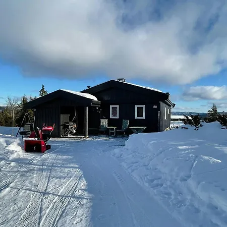 Family With Views In Valdres Reinli