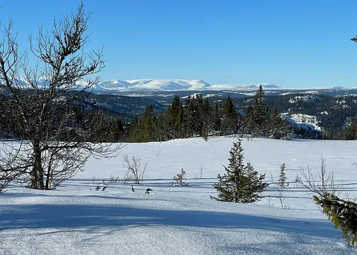 Family With Views In Valdres Prázdninový dům Reinli