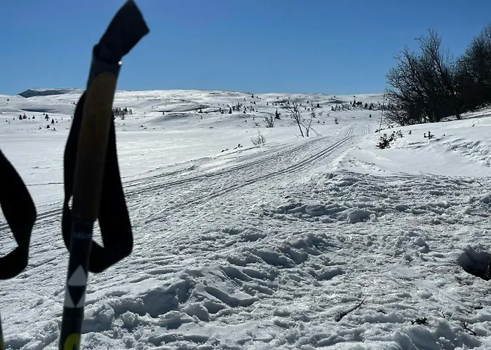 Family With Views In Valdres * Reinli