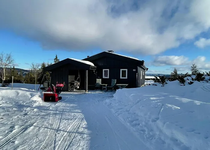 Family With Views In Valdres Reinli